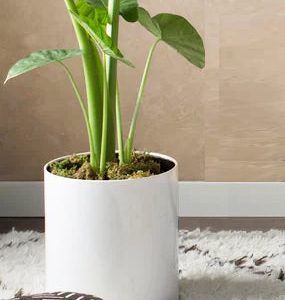 Knox Cylinder White Metal Planter - Modern Minimalist Steel (18-8 Heavy Duty) Surface-Safe, Indoor - Outdoor (12 - 18 Diameter)