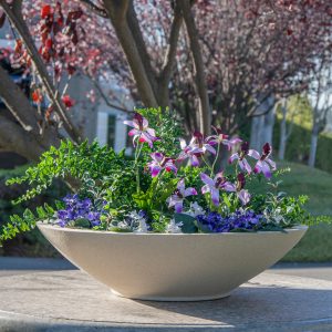 Modern Fiberglass Low Bowl Planters