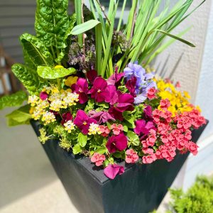 Planter Delivery Subscription